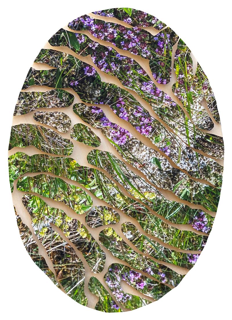 © Charlotta Hauksdottir - Impression XXVI, 2022, archival inkjet print, wood panel