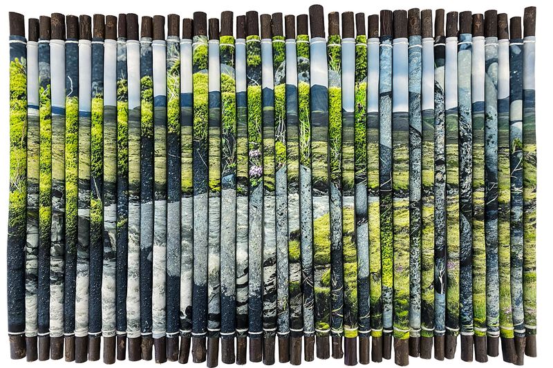 © Charlotta Hauksdottir - Reclamation IV, 2023, archival inkjet prints, branches