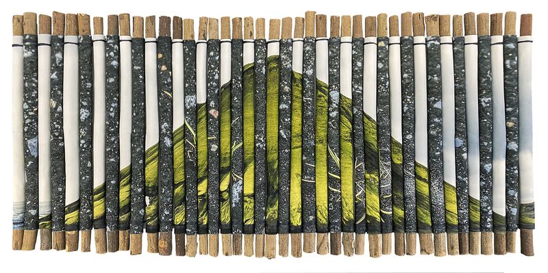 © Charlotta Hauksdottir - Reclamation V, 2023, archival inkjet prints, branches