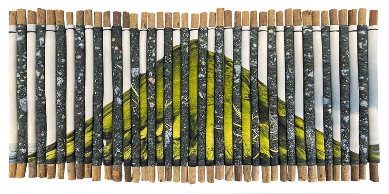 © Charlotta Hauksdottir - Reclamation V, 2023, archival inkjet prints, branches