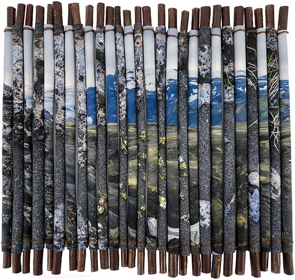 © Charlotta Hauksdottir - Reclamation I, 2023, archival inkjet prints, branches