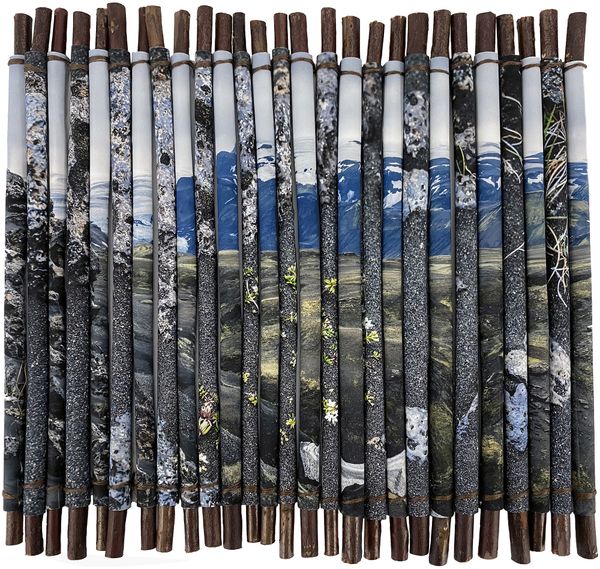© Charlotta Hauksdottir - Reclamation I, 2023, archival inkjet prints, branches