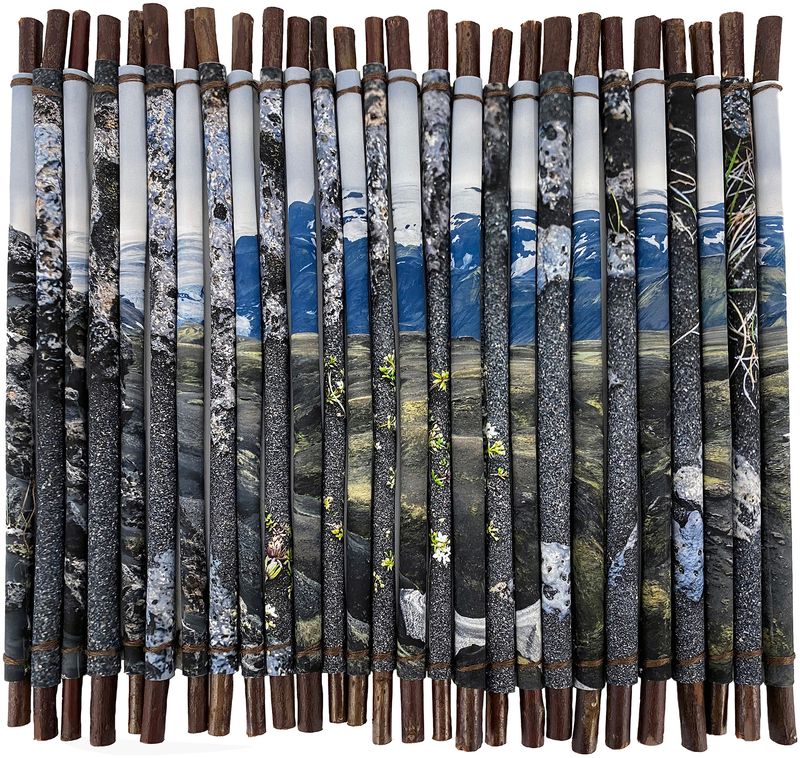 © Charlotta Hauksdottir - Reclamation I, 2023, archival inkjet prints, branches