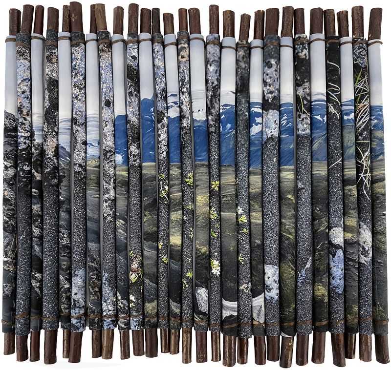 © Charlotta Hauksdottir - Reclamation I, 2023, archival inkjet prints, branches