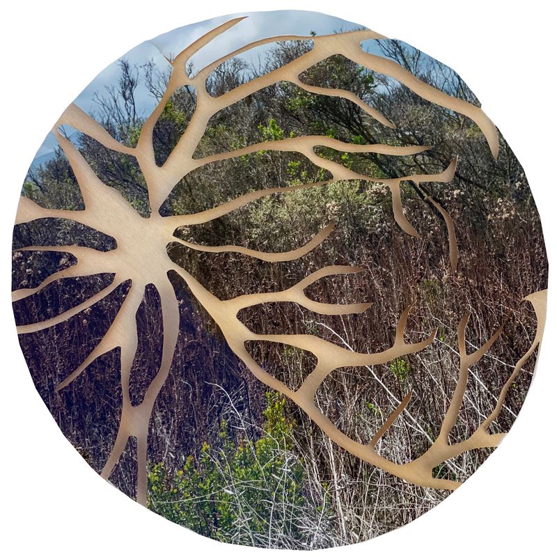 © Charlotta Hauksdottir - Imperception X, 2022, archival inkjet print, wood panel