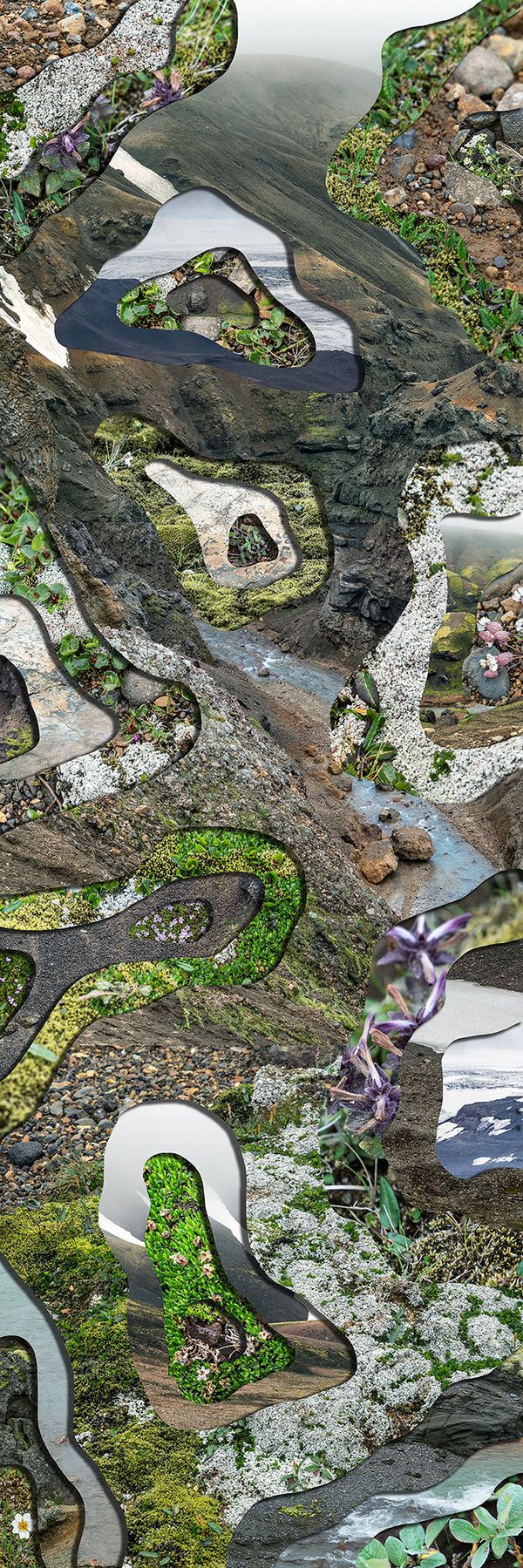 © Charlotta Hauksdottir - Topography Study XLI