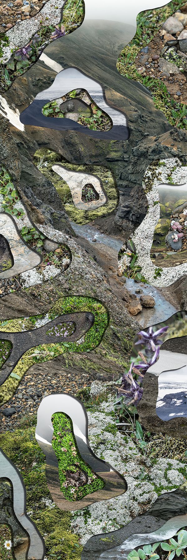 © Charlotta Hauksdottir - Topography Study XLI