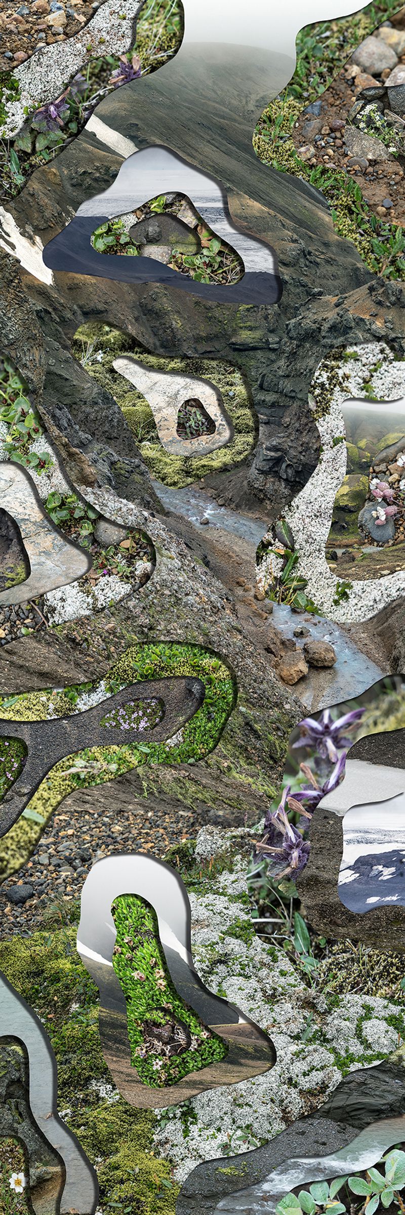 © Charlotta Hauksdottir - Topography Study XLI