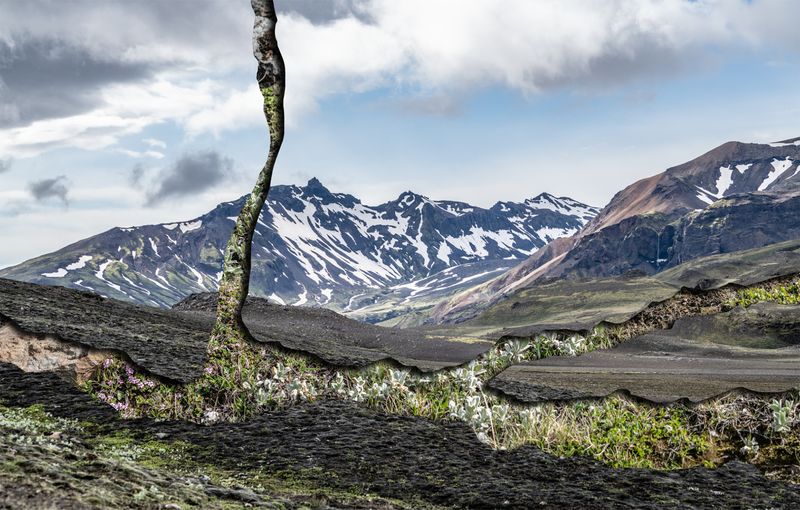 © Charlotta Hauksdottir - Resurgence II