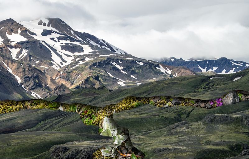 © Charlotta Hauksdottir - Resurgence III