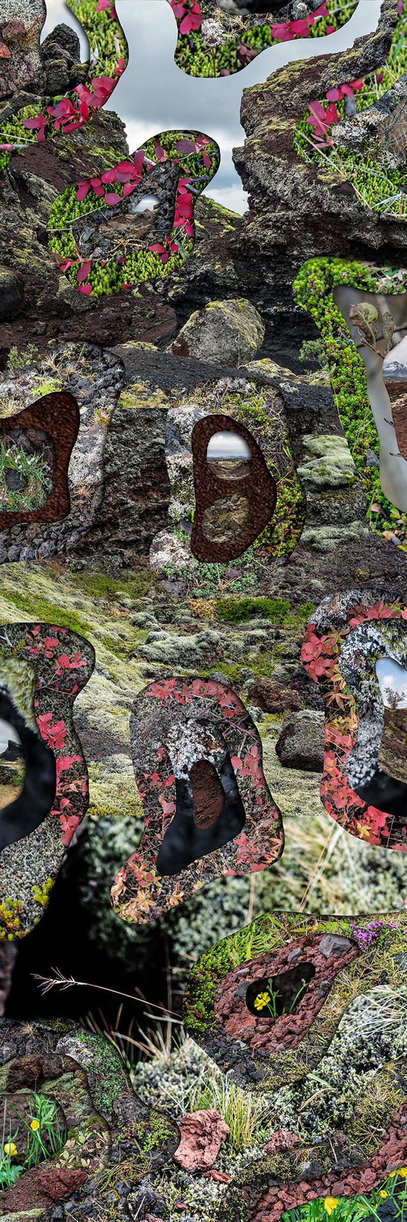 © Charlotta Hauksdottir - Topography Study XXXVII