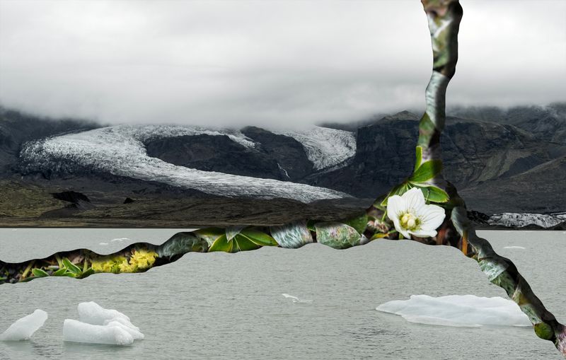 © Charlotta Hauksdottir - Resurgence XIV