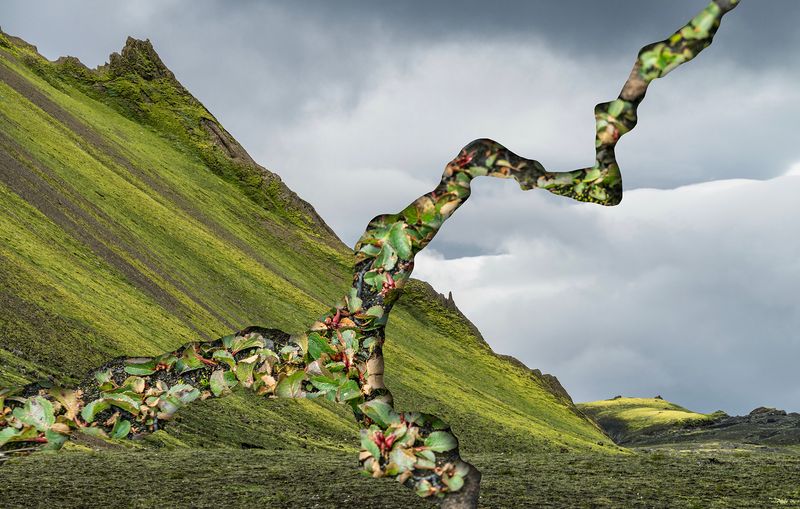 © Charlotta Hauksdottir - Resurgence X