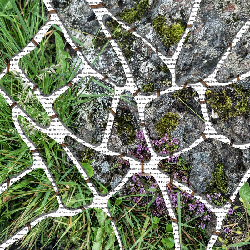 © Charlotta Hauksdottir - Indentation VII