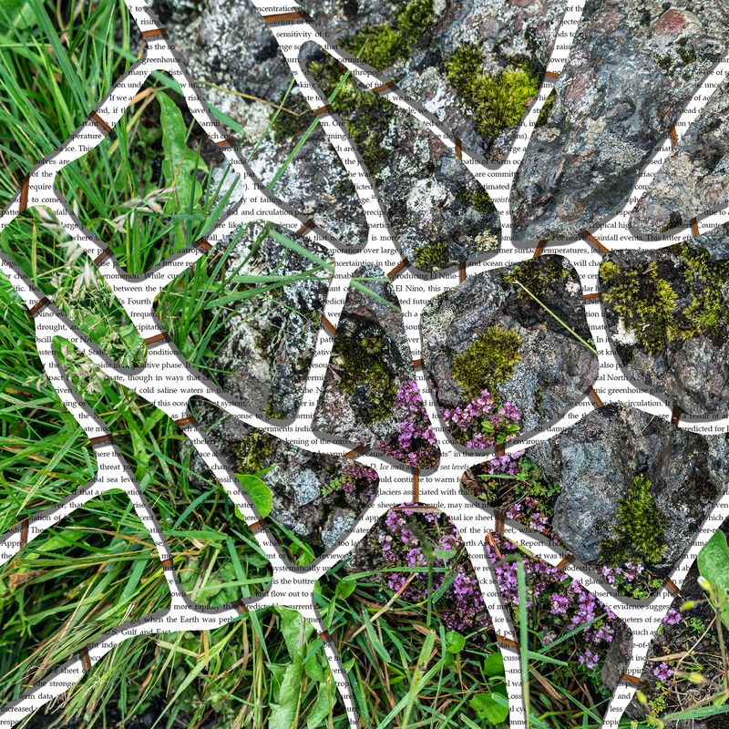 © Charlotta Hauksdottir - Indentation VII