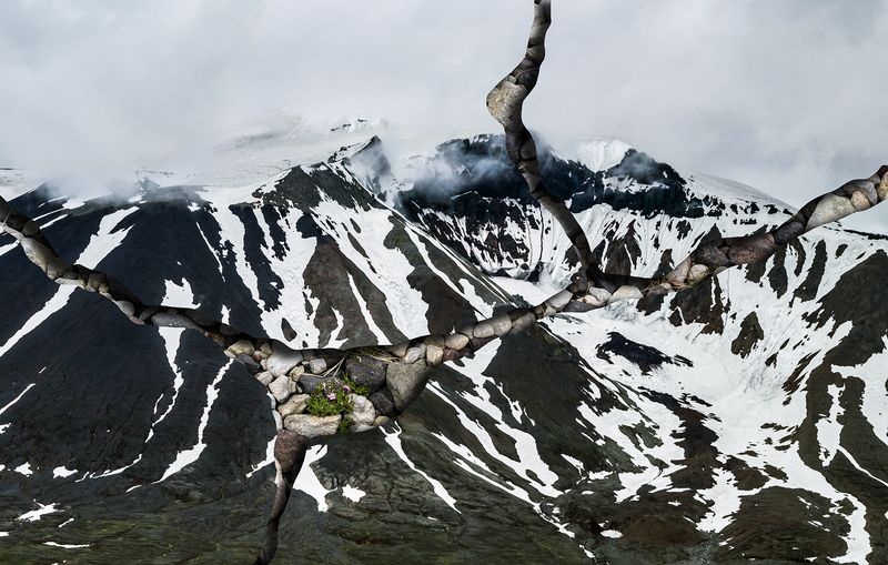 © Charlotta Hauksdottir - Resurgence XI