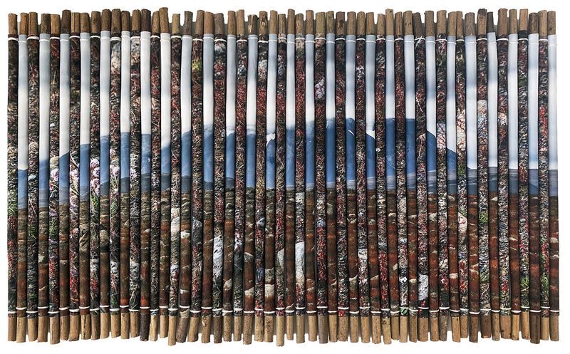 © Charlotta Hauksdottir - Reclamation VI