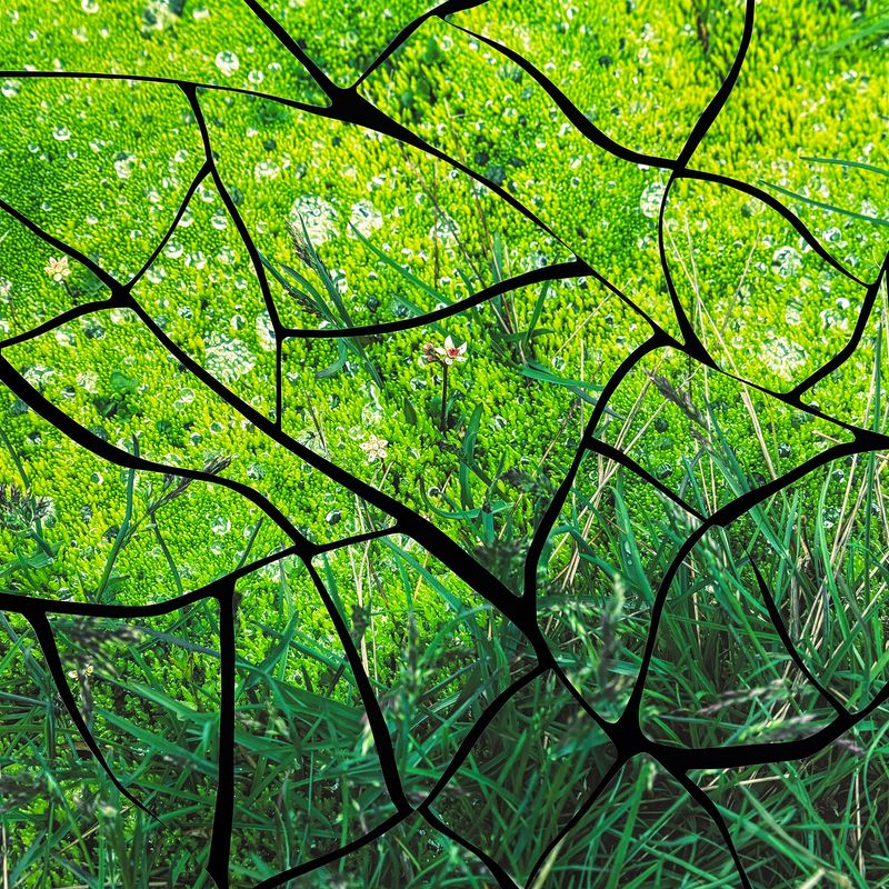 © Charlotta Hauksdottir - Indentation X