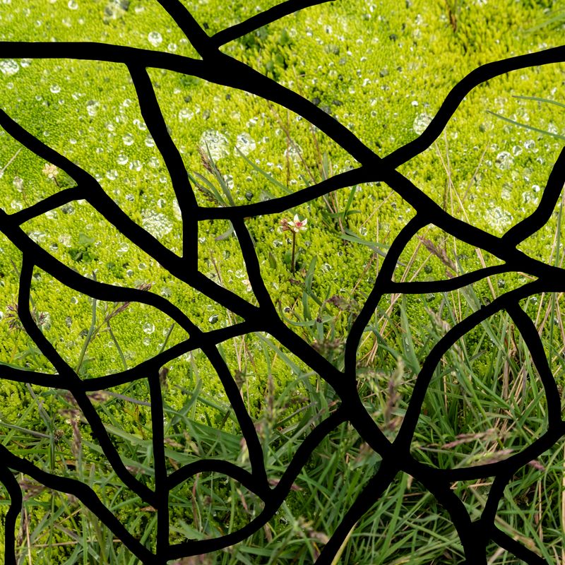 © Charlotta Hauksdottir - Indentation IV