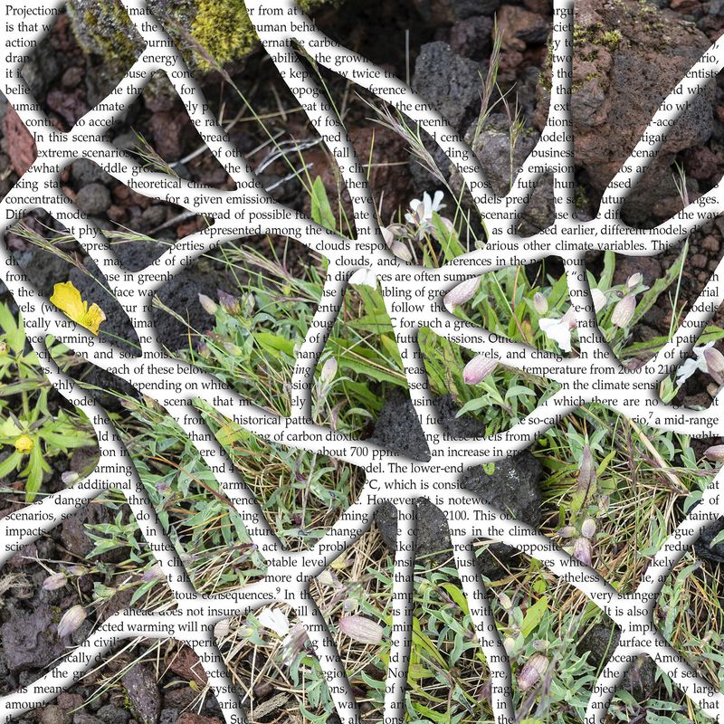 © Charlotta Hauksdottir - Indentation I