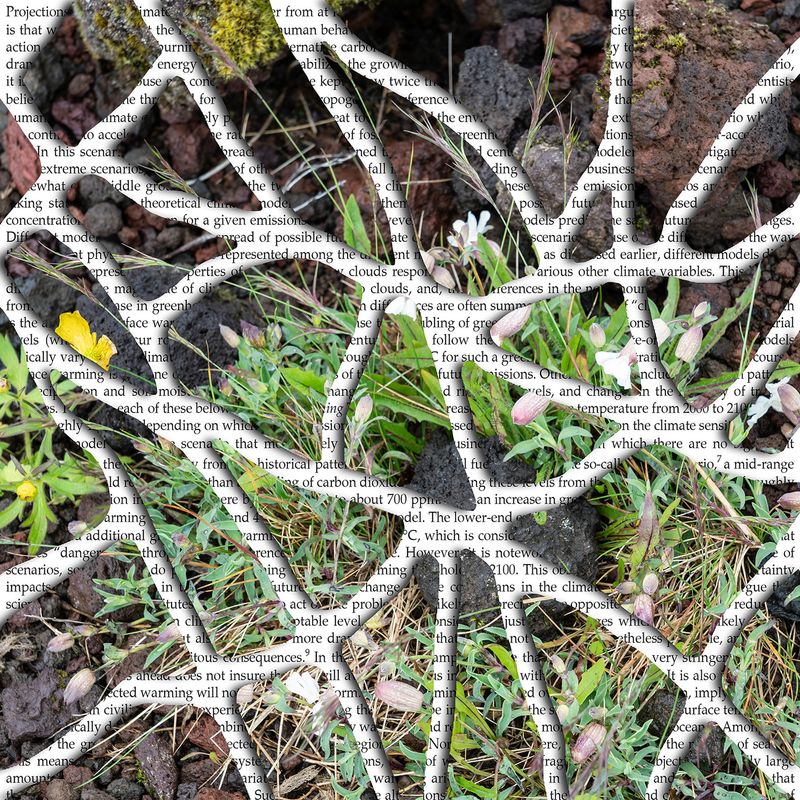 © Charlotta Hauksdottir - Indentation I