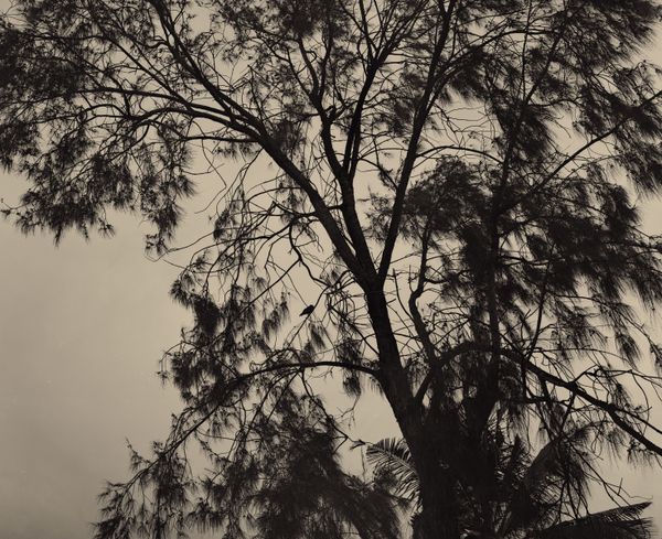 © Coosje Froentjes - ‘PLEASE COME TO SAY HELLO,MORE OFTEN MAY IT BE IN THE MIDST OF A STORM. CHAOS IS A GREAT PLACE TO LOSE AGAIN.’