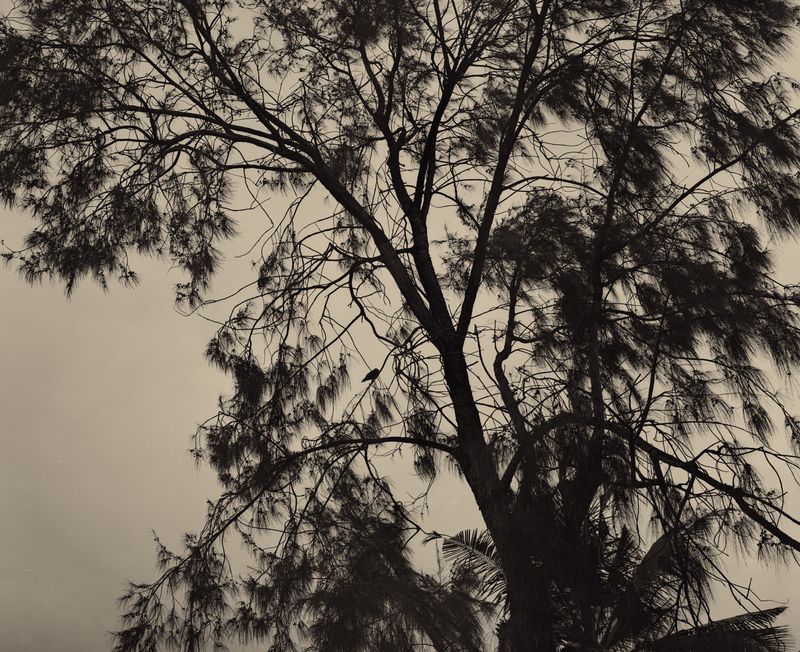 © Coosje Froentjes - ‘PLEASE COME TO SAY HELLO,MORE OFTEN MAY IT BE IN THE MIDST OF A STORM. CHAOS IS A GREAT PLACE TO LOSE AGAIN.’