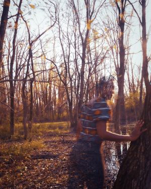 November Light