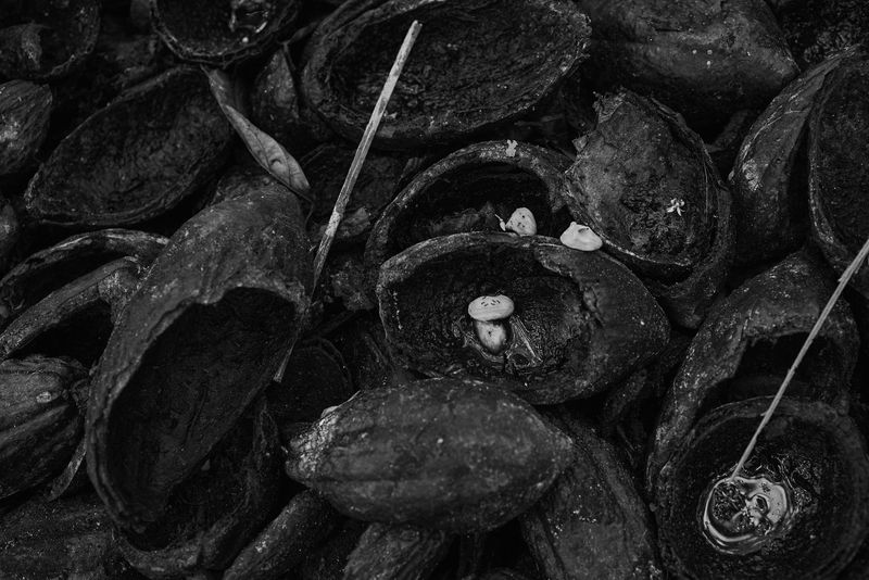 © Olivier Khouadiani - Image from the Golikro photography project