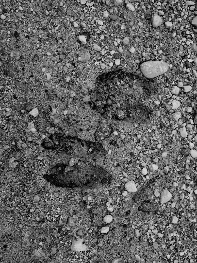 © Igor Trepeshchenok - Image from the Is there something missing? photography project