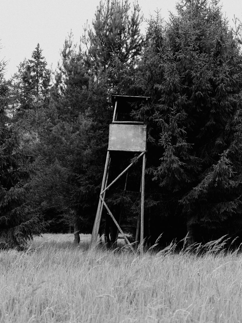 © Igor Trepeshchenok - Image from the Is there something missing? photography project