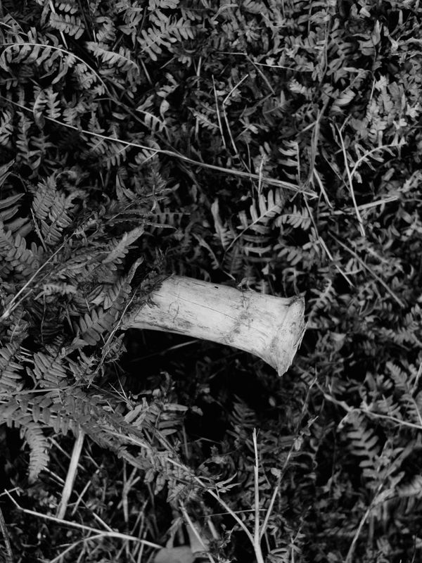 © Igor Trepeshchenok - Image from the Is there something missing? photography project