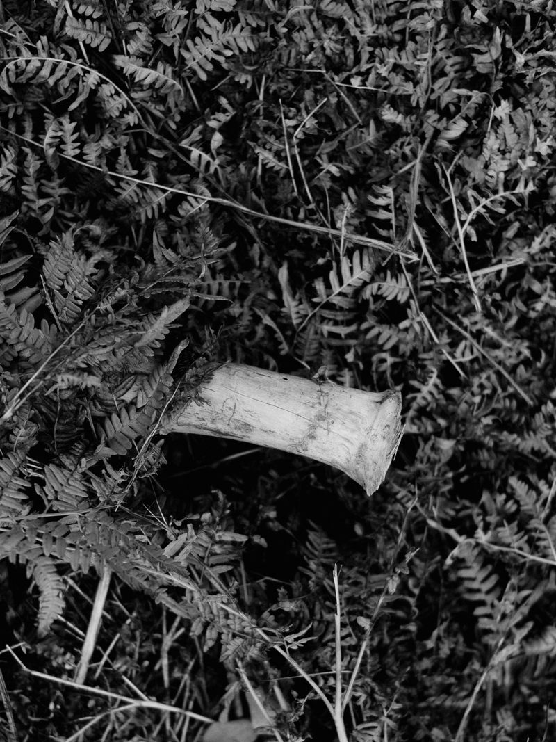 © Igor Trepeshchenok - Image from the Is there something missing? photography project