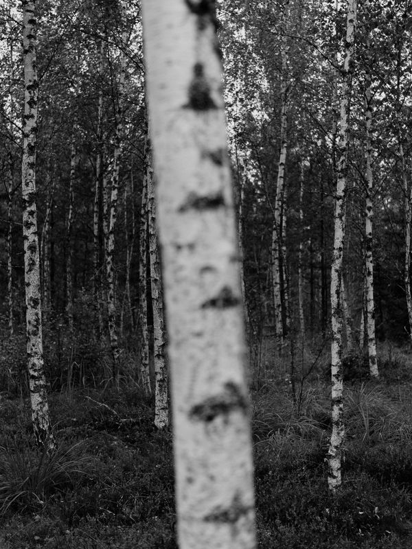 © Igor Trepeshchenok - Image from the Is there something missing? photography project