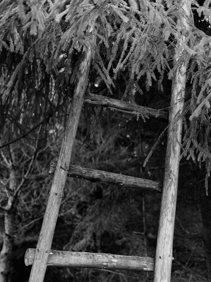 © Igor Trepeshchenok - Image from the Is there something missing? photography project