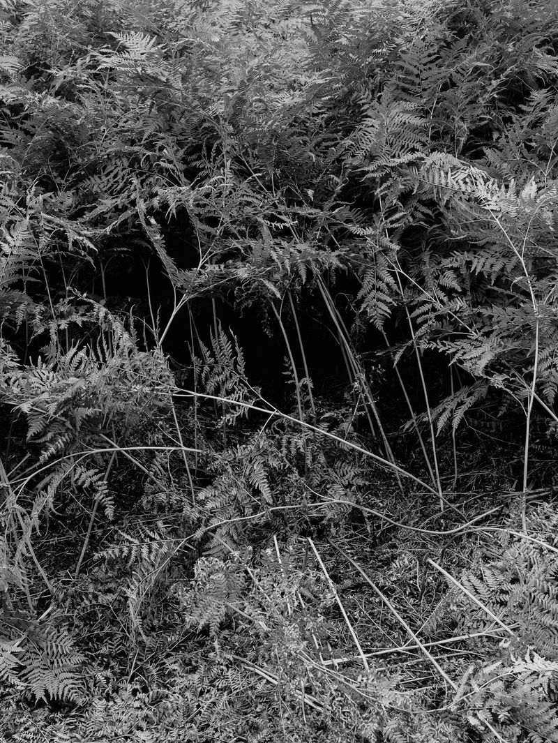 © Igor Trepeshchenok - Image from the Is there something missing? photography project