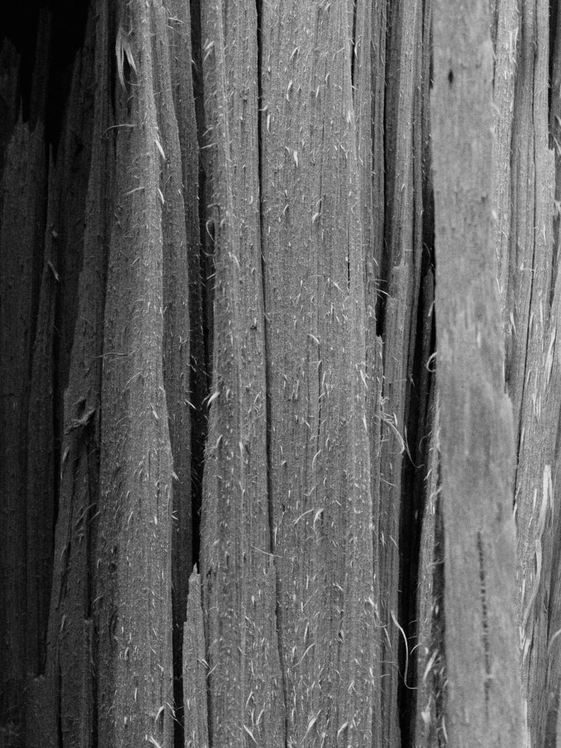 © Igor Trepeshchenok - Image from the Is there something missing? photography project