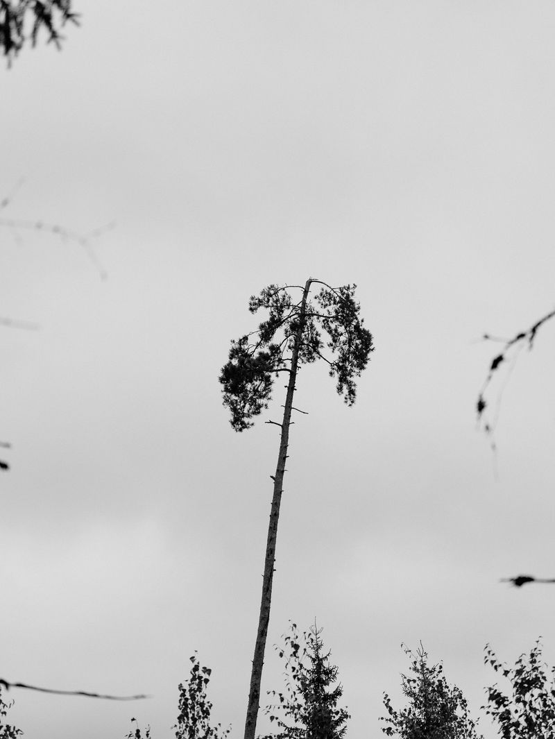 © Igor Trepeshchenok - Image from the Is there something missing? photography project