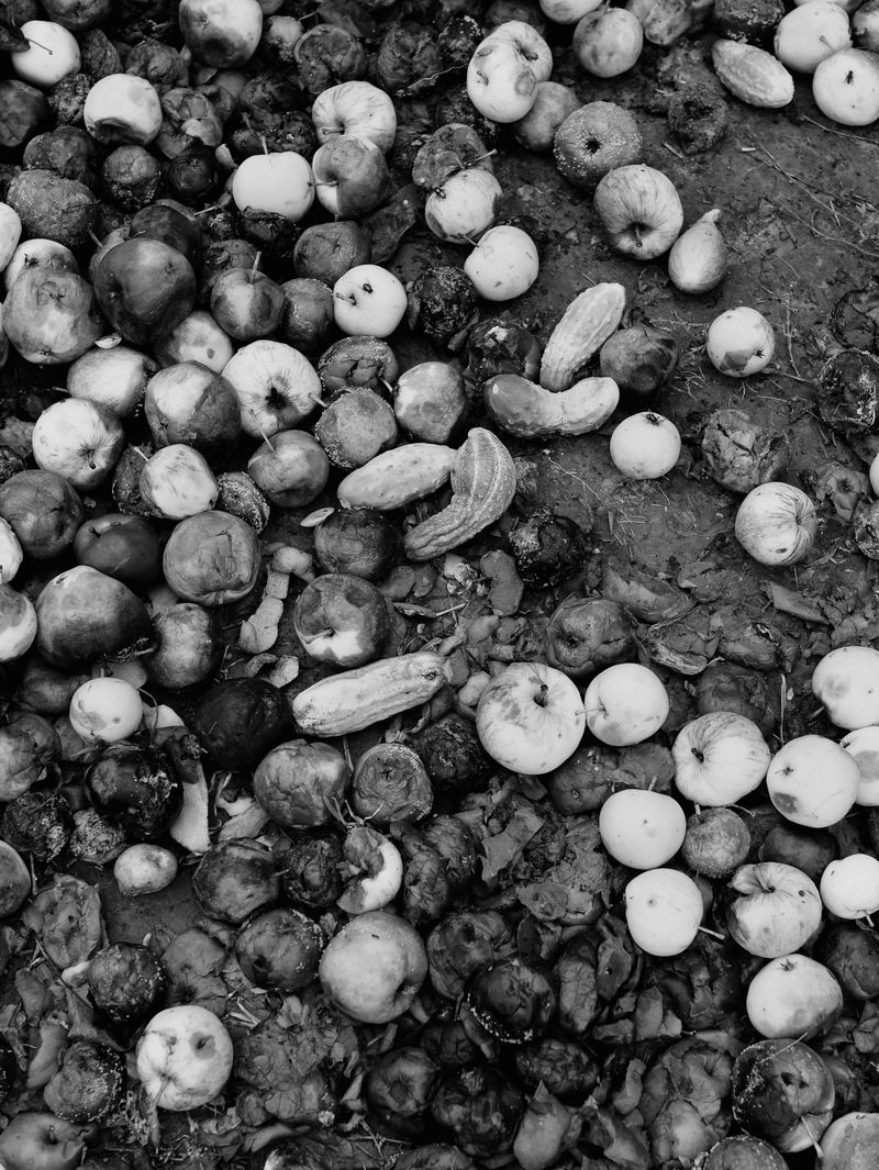 © Igor Trepeshchenok - Image from the Is there something missing? photography project