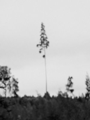 Is there something missing?