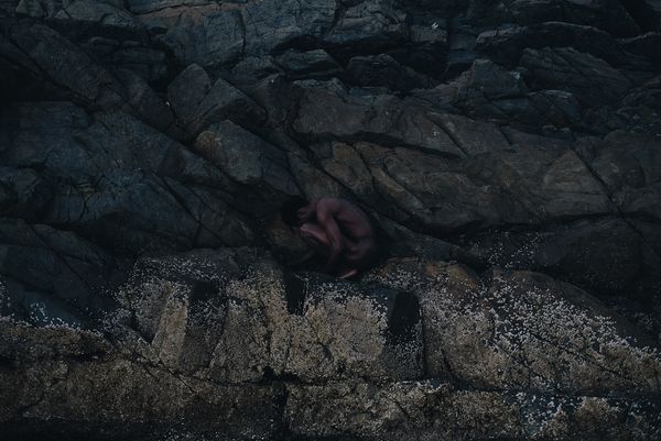 © Ernesto Sumarkho - Image from the Biophilia photography project