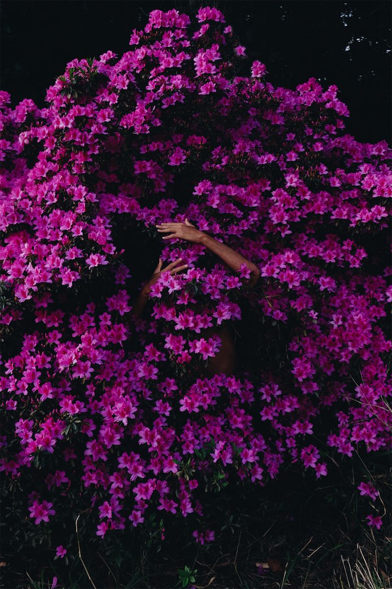 © Ernesto Sumarkho - Image from the Biophilia photography project