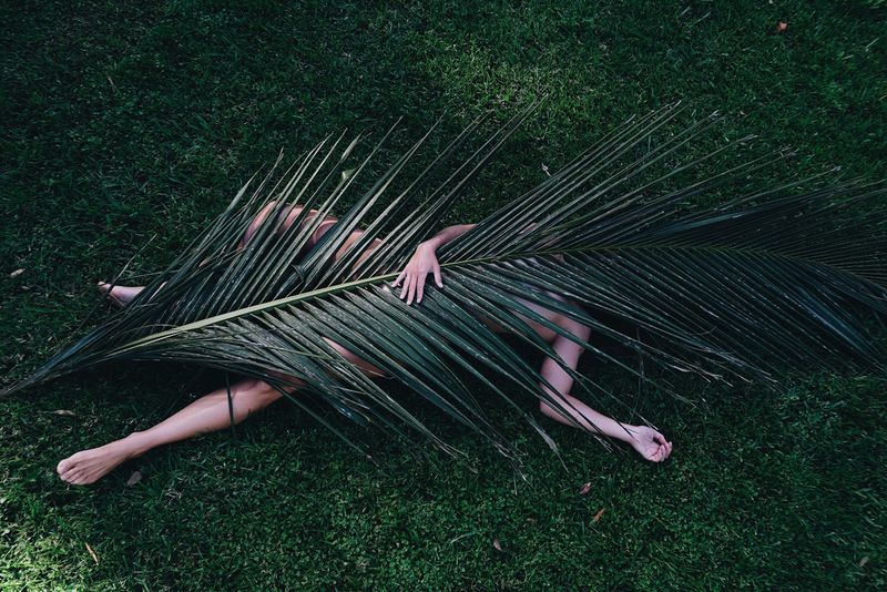 © Ernesto Sumarkho - Image from the Biophilia photography project