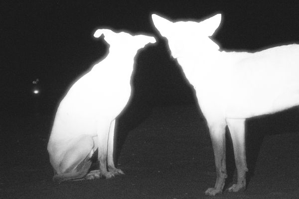 © Yago Soria - Image from the Fukú No Unagi photography project