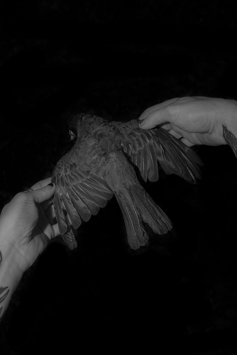 © luuk van Raamsdonk - Image from the My Sweet Elora photography project
