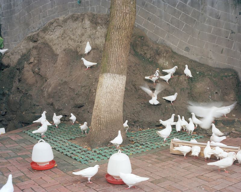 © Jiehao Su - Image from the Borderland photography project