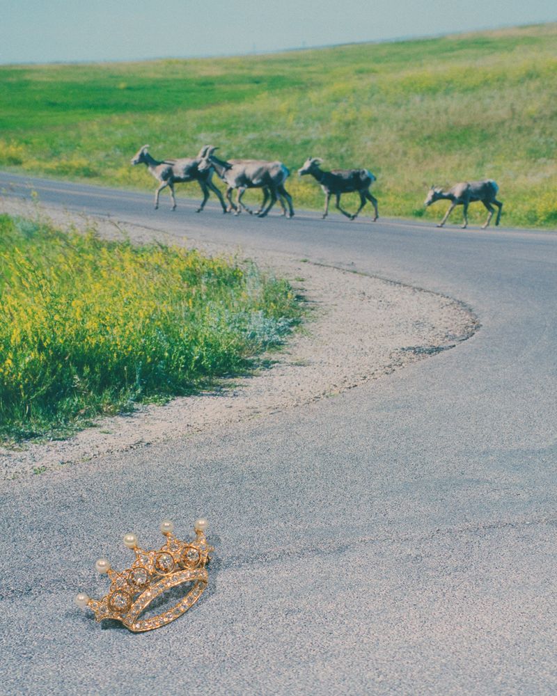 © Joshua Tarplin - Succession, 2021