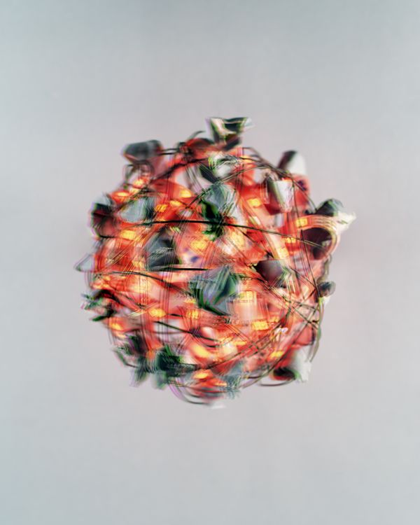 © luca spano - Still life. Image inspired by the conversation with Scientist Joachim Stroth.
