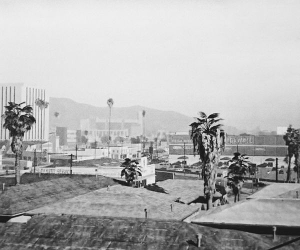 © Eleonora Paciullo - Image from the This is L.A. photography project