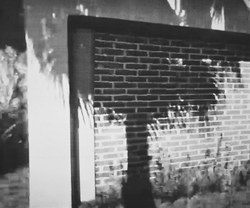 © Eleonora Paciullo - Image from the This is L.A. photography project